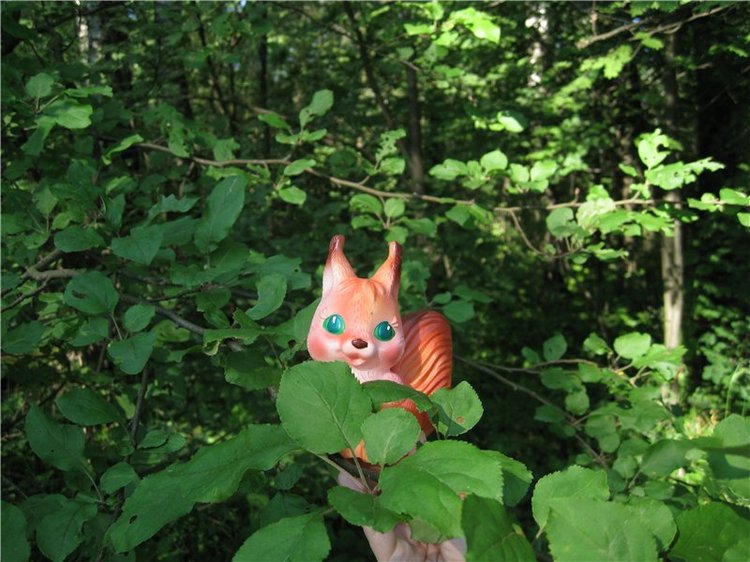 Лесная прогулка с куклой Готц