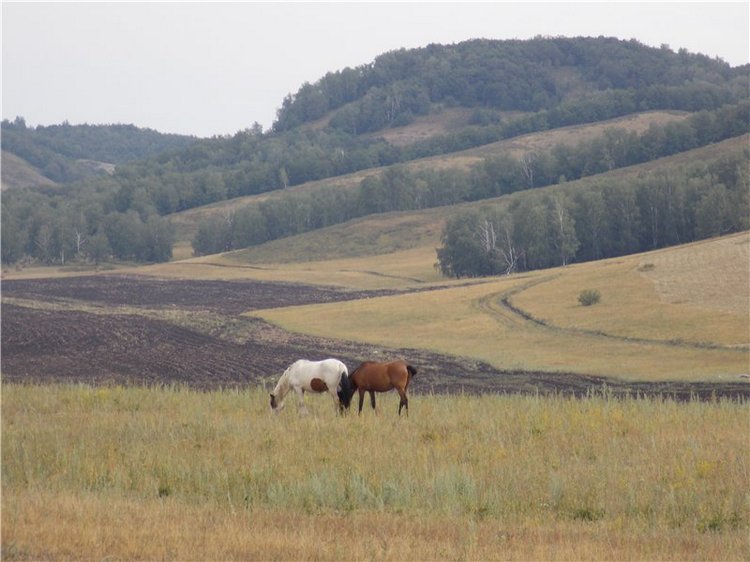 Геля в Мурадымовском ущелье