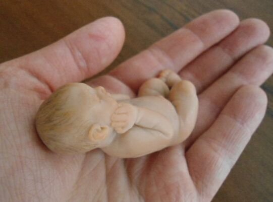 Малыши из пластики! Куклы младенцы Горшковой Юлии (фото 3)