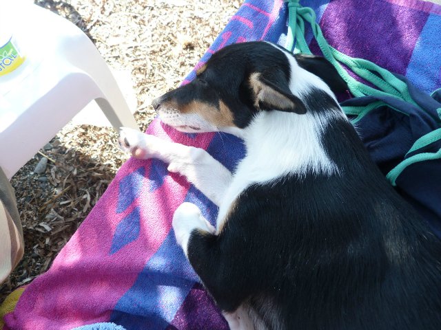 Кусочки моей Греции — Болталка и разговоры обо всем: жизнь