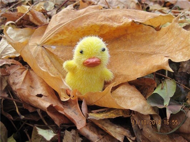 Дружок — Интересные игрушки и фигурки (разное): редкие