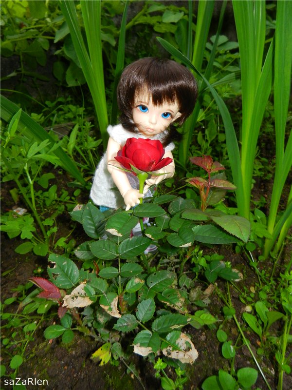 Варвара путешевственница (Литтлфи Анте) (фото 8)