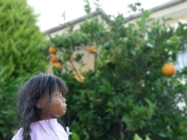 Ещё немного о путешествии малышек - Химочек (фото 6)