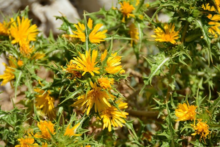 Ницца, Марсель, море и горы