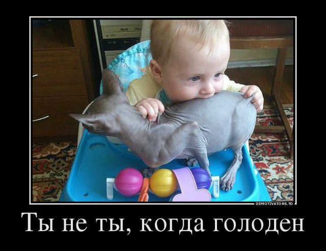 Просто добавь улыбку или пятничный девиз (фото 3)