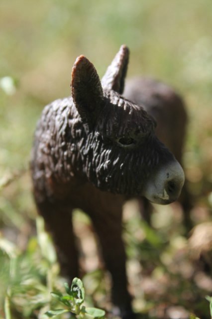 Раз, два, три, четыре, пять... Вышел ослик погулять | Бэйбики Раз, два, три, четыре, пять... Вышел ослик погулять (фото 3)