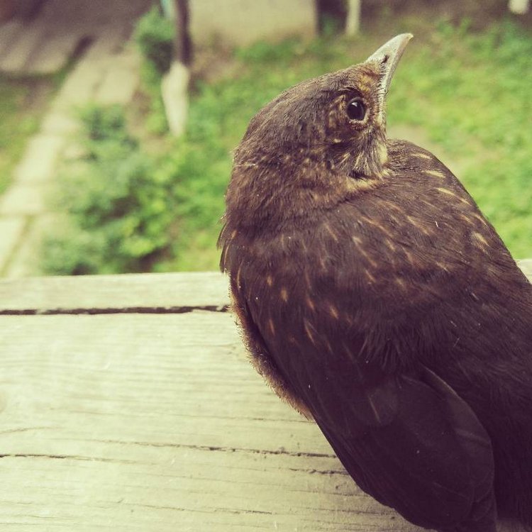 Те, кто нас любит и в домашнем халате, и без косметики, и растрепанными | Бэйбики Те, кто нас любит и в домашнем халате, и без косметики, и растрепанными