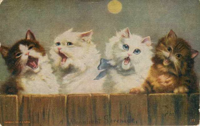 Пекрасное III - коротенько о котиках Merlin (фото 6)