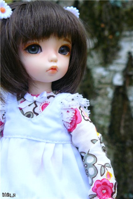 Вот так погуляли или Как у нас появилась кукла БЖД LittleFee Ante Elf (фото 10)