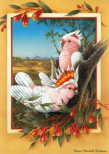 Мир эльфов и фей от Ширли Барбер (SHIRLEY BARBER)