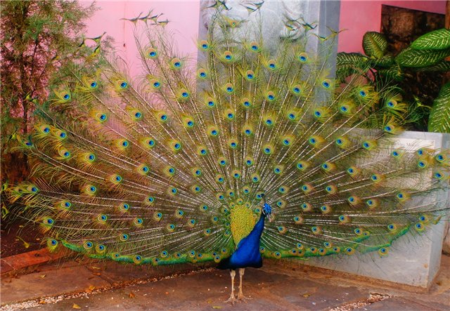 Царица с глазами ангела или кукла Катерина от Мери Беннер (Mary Benner)