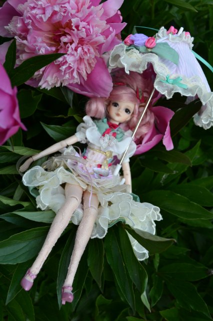 Девушка-пион: джеечка La Rue de Rivoli (J-doll) (фото 9)