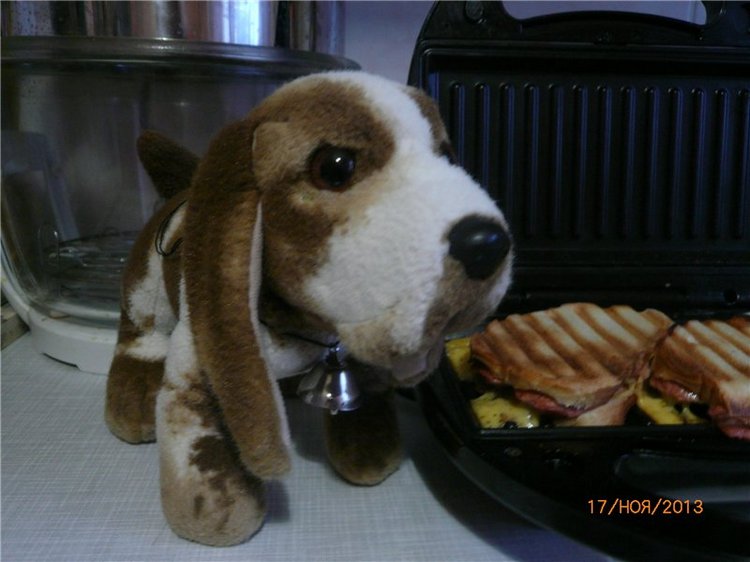 Куклы и собаки. Радость в нашем доме