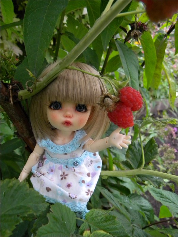 Пионка прощается с летом — Куклы Fairyland (ФэйриЛэнд): BJD (БЖД) (фото 10)