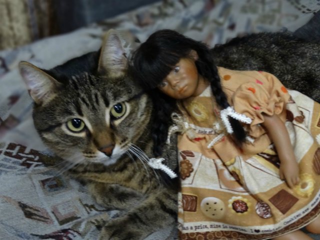 Моя малышка Даша от Annette Himstedt