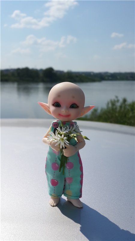 Мечты обязательно должны сбываться,главное в них верить!!! Реалпуки (Realpuki) Сосо - Ягодка (фото 2)