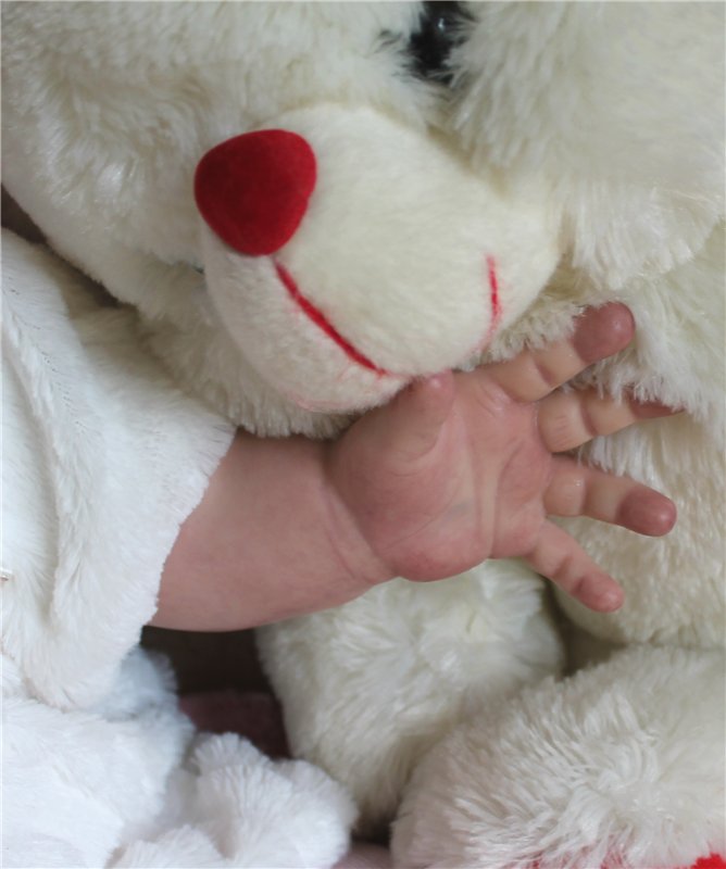 Имя ей дали - Наташенька. Кукла-реборн Елены Иваховой (фото 4)