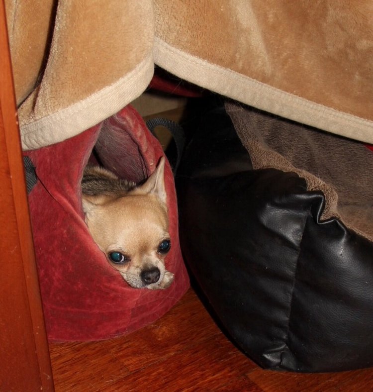 Уголочки мои драгоценные-2. Год спустя. Часть вторая, виниловая, авторская и всякая