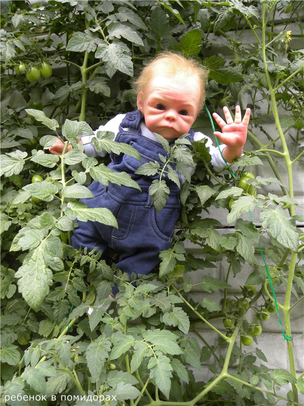 Мой не запланированный Лягушонок реборн
