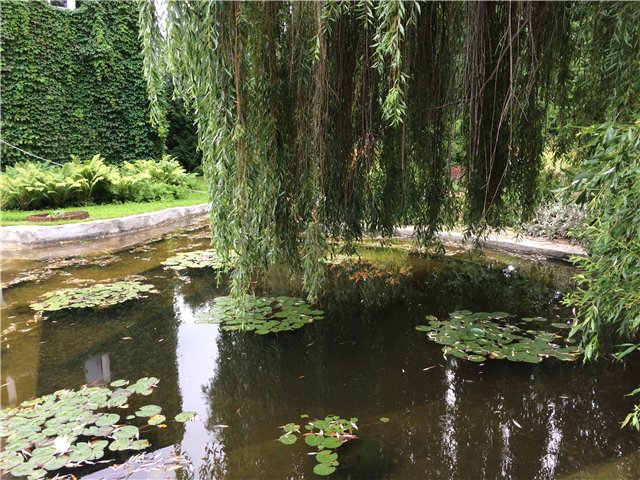 Светлая Галадриэль, или путешествие по Эльфийскому лесу | Бэйбики Светлая Галадриэль, или путешествие по Эльфийскому лесу