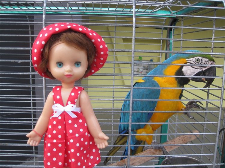 Галчонок и лето. Винтажна куколка СССР Галя