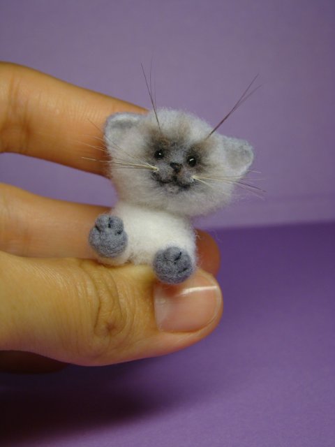 Котик. Авторская игрушка валянием из шерсти Ольги Чернухо (фото 8)