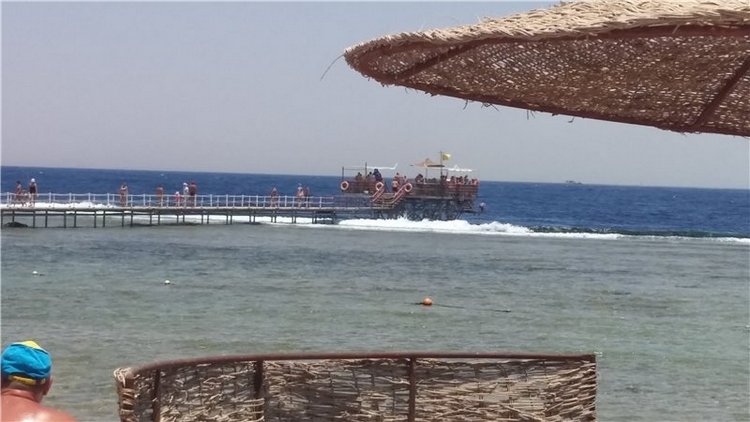 Дрюшка-путешественник 2 или летние каникулы. Египет