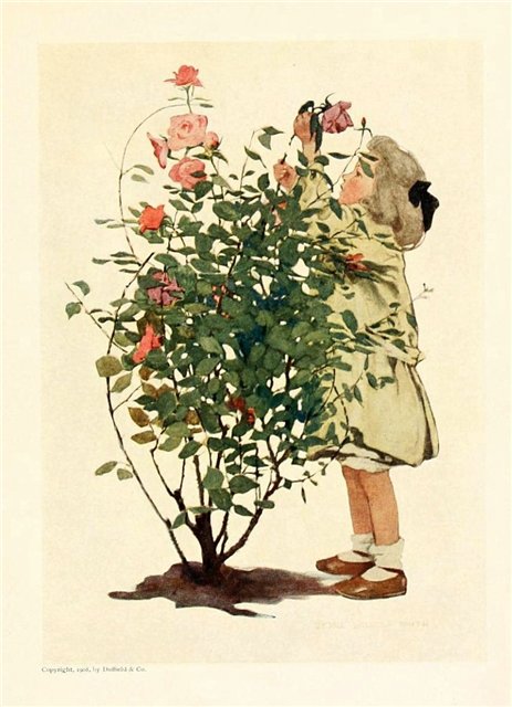 Удивительные иллюстрации Джесси Уилкокс Смит/Jessie Willcox Smith (1863-1935)