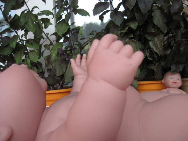 Глазастик и другие куколки