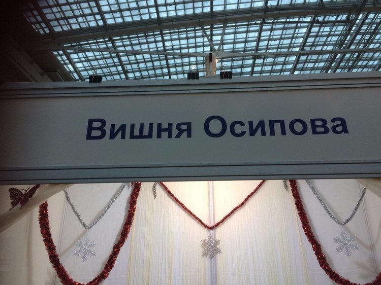 А мы приехали с выставки! Куклы реборн на выставке "Искусство куклы 2016". Фотоотчет