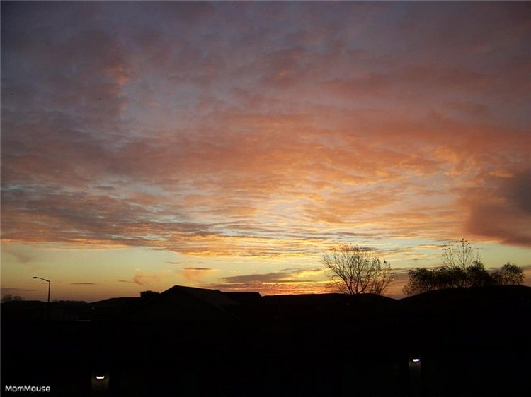 Очаровательные ангелы от Fayzah Spanos (фото 8)