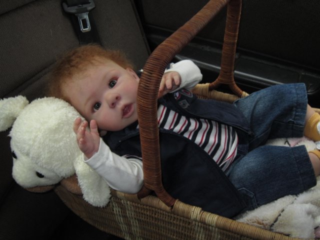 У нас появились новенькие