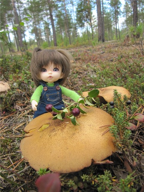 Как Майка за ягодами ходила. Кукла БЖД