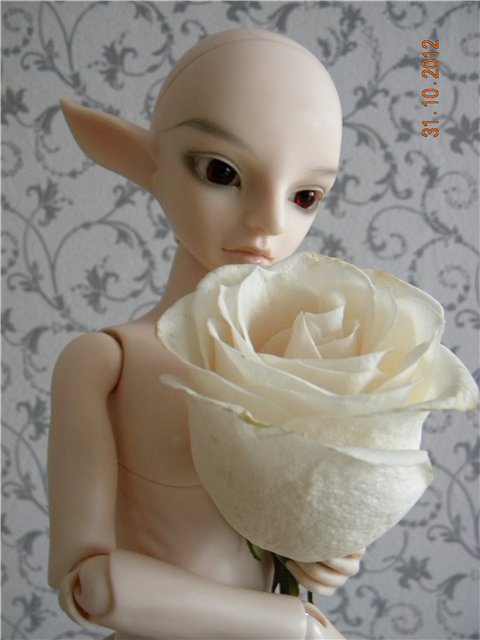 Resinsoul Ming, БЖД