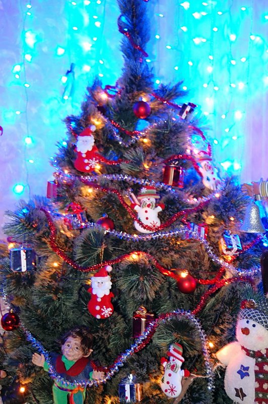 Праздник у нас дома — Домашние коллекции кукол: фото собраний