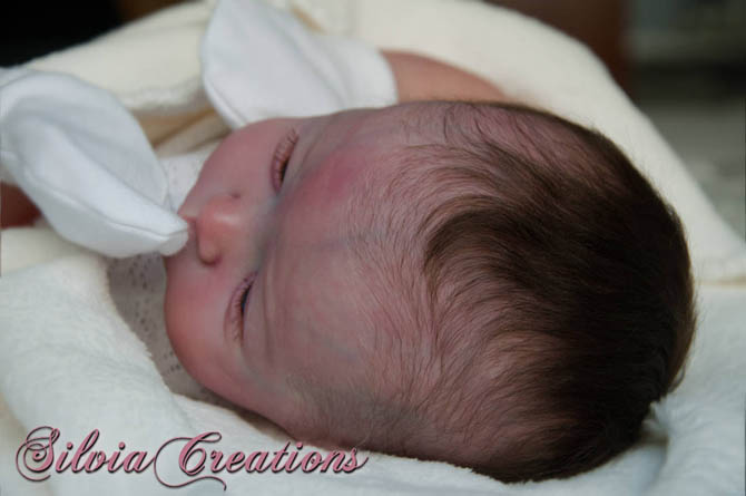 Новый молд Will от Натали Шолль