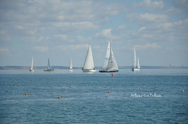 Ассоль-ки. Куколка Ann Estelle от Tonner (фото 9)
