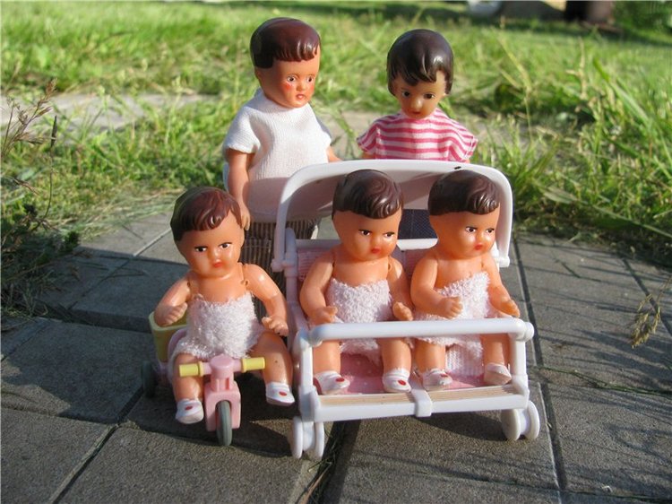 Любите ли вы жимолость как любят ее мои пупсики (фото 9)