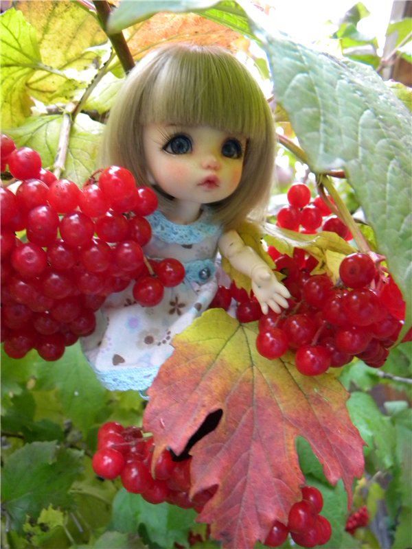 Пионка прощается с летом — Куклы Fairyland (ФэйриЛэнд): BJD (БЖД)