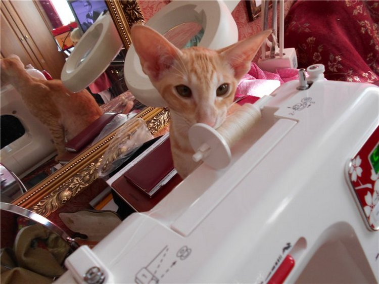 Как я с помощниками шила наряд для Аделины (фото 8)