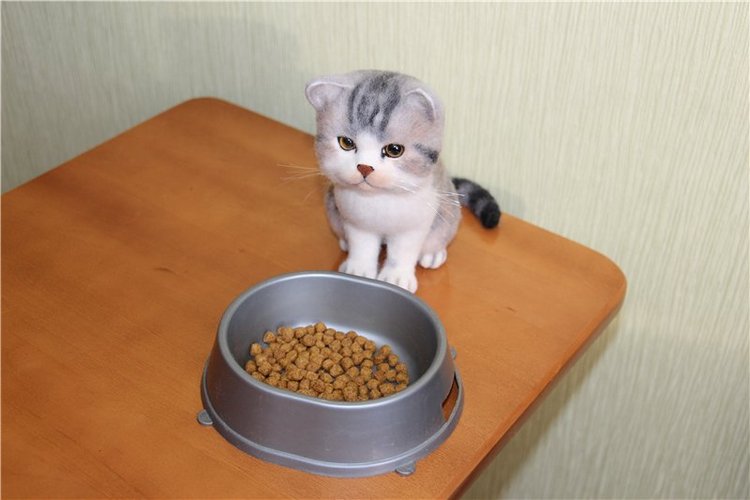 Котик Дени. Авторская игрушка Анны Ястрежембовской