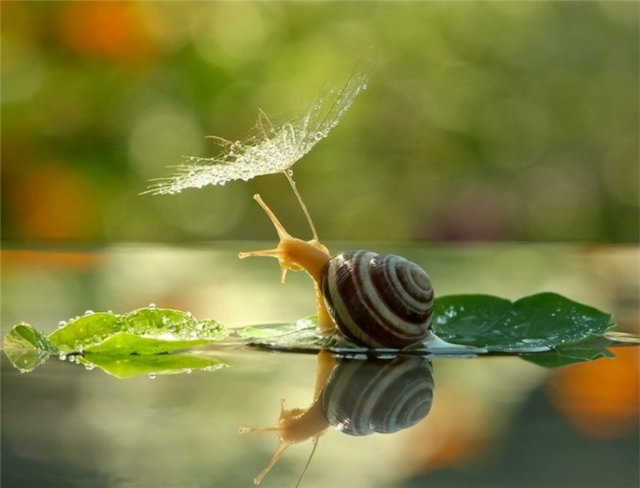 10 секретов счастья или Оксана,все у нас хорошо!Для poklon1979