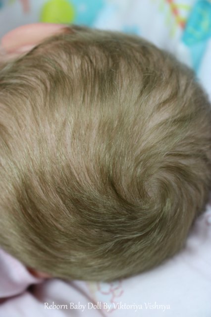 Близняшечки Ноа... Куколки реборн Виктории Вишни