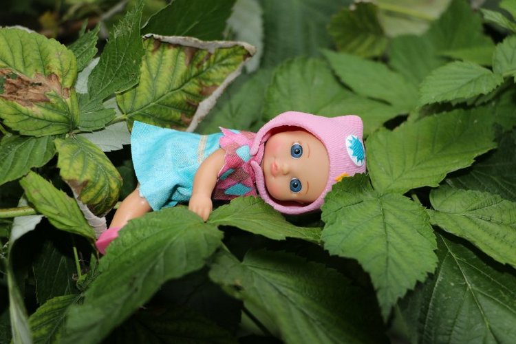 Модница-голодница малявка Руби. Chou-Chou от Zapf creation | Бэйбики Модница-голодница малявка Руби. Chou-Chou от Zapf creation (фото 5)