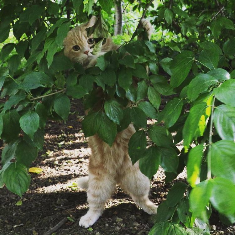 Те, кто нас любит и в домашнем халате, и без косметики, и растрепанными | Бэйбики Те, кто нас любит и в домашнем халате, и без косметики, и растрепанными