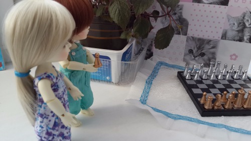 ... поиграем в шахматы — Куклы Latidoll (Лати): BJD (БЖД) (фото 4)