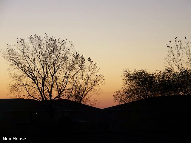 Очаровательные ангелы от Fayzah Spanos (фото 3)