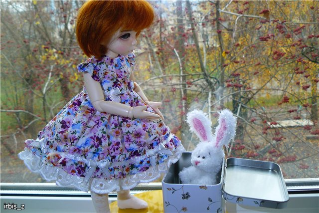 Рыжее солнышко. LittleFee Ante Elf