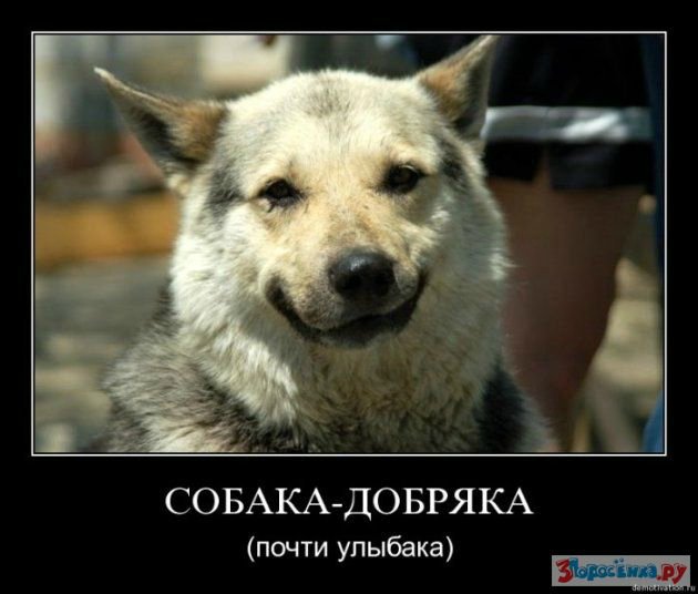 Море позитива) Для поднятия настроения (осторожно! много фото)))) | Бэйбики Море позитива) Для поднятия настроения (осторожно! много фото))))