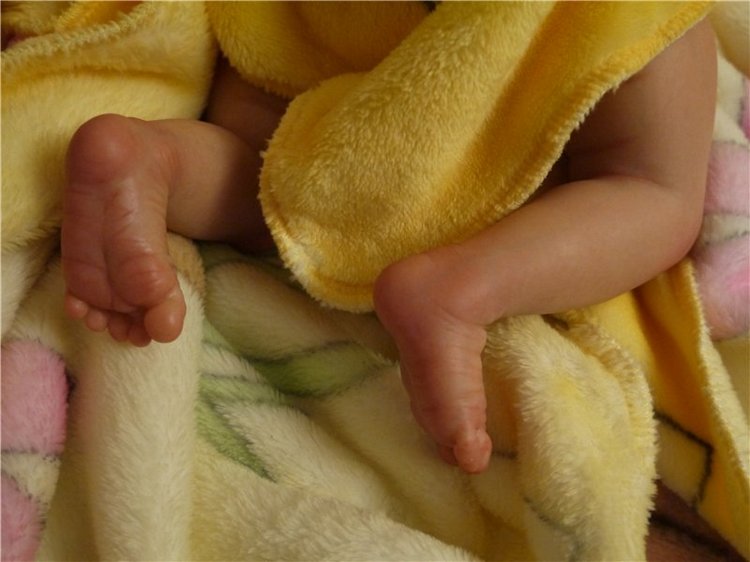 Малыш эльфик Василёк из молдика Офелия, кукла реборн Натальи Фединой, Baby-Zest